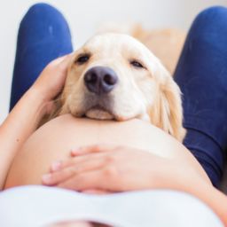 perros y bebés recién nacidos