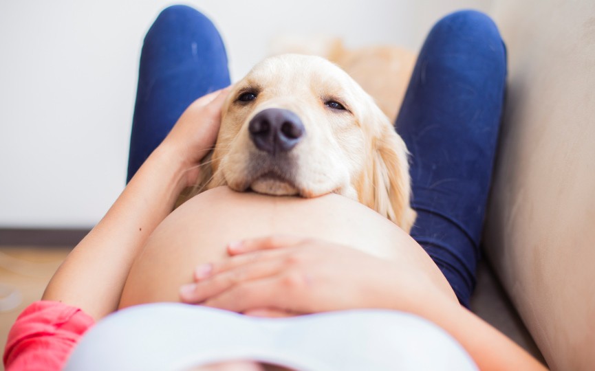 perros y bebés recién nacidos