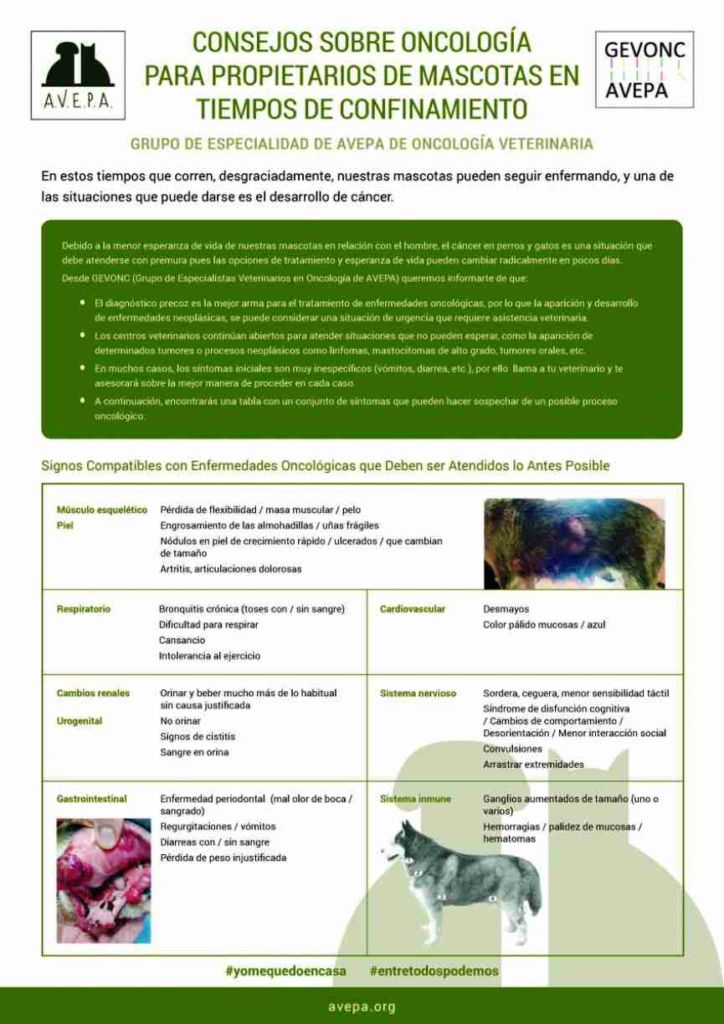 consejos sobre oncología