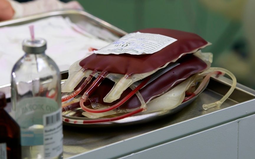 hospitales con banco de sangre animal