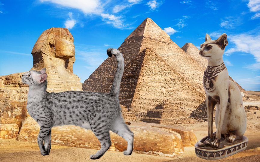 los gatos en el Antiguo Egipto