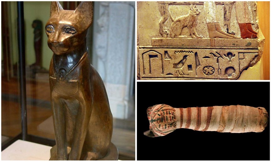 gatos en el Antiguo Egipto