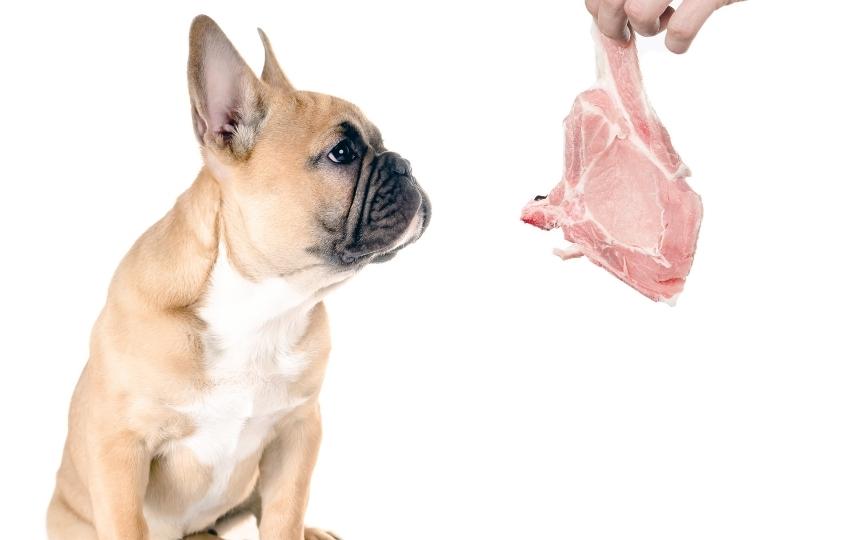 riesgos de los alimentos crudos para perros