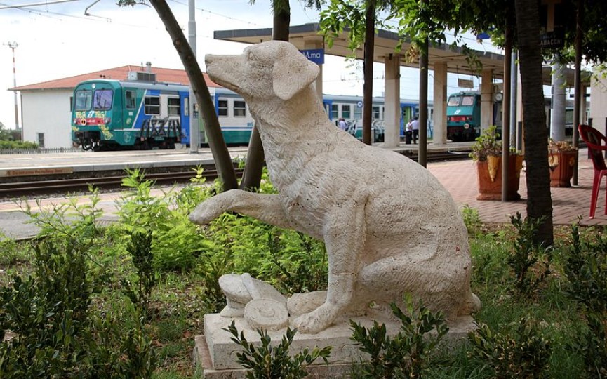 Lampo el perro que viajaba por Italia en tren